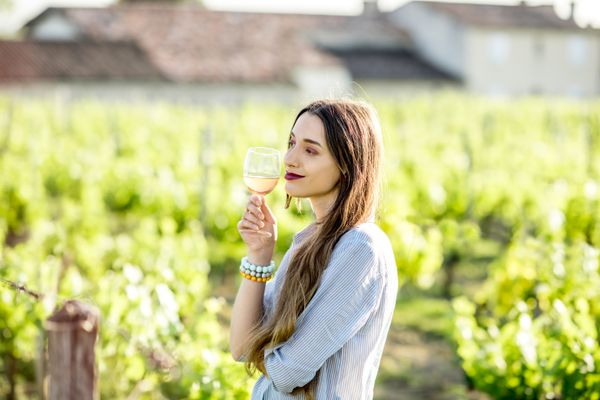 Découverte des vignobles