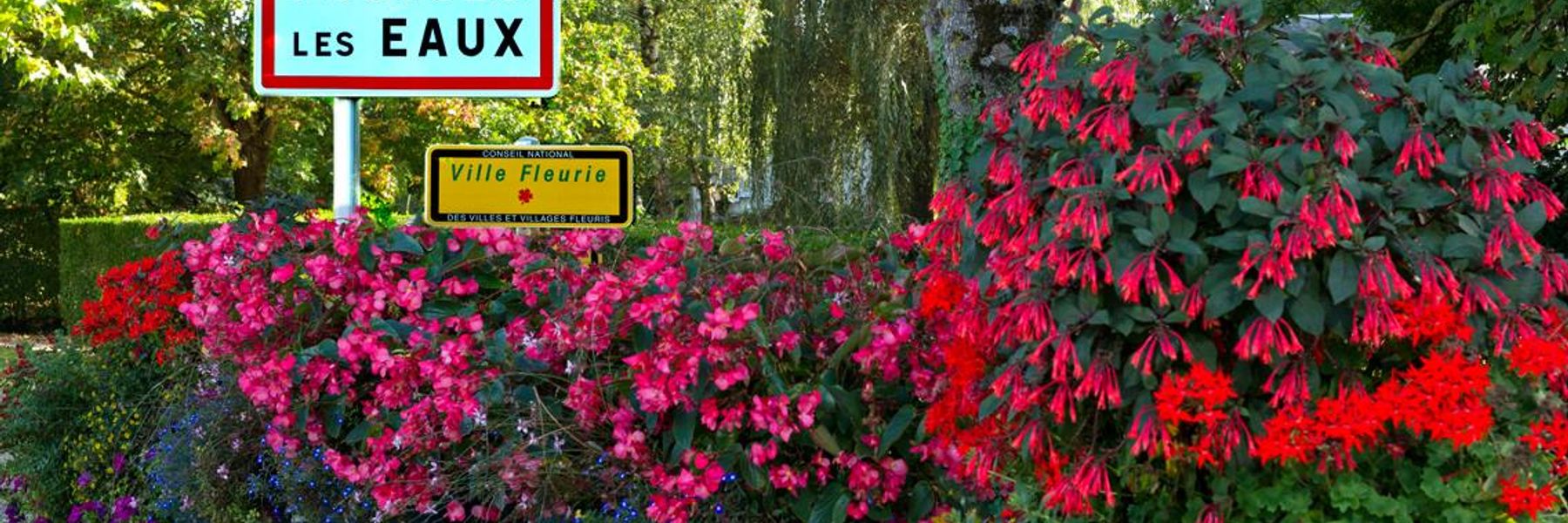Campsite des Chanternes