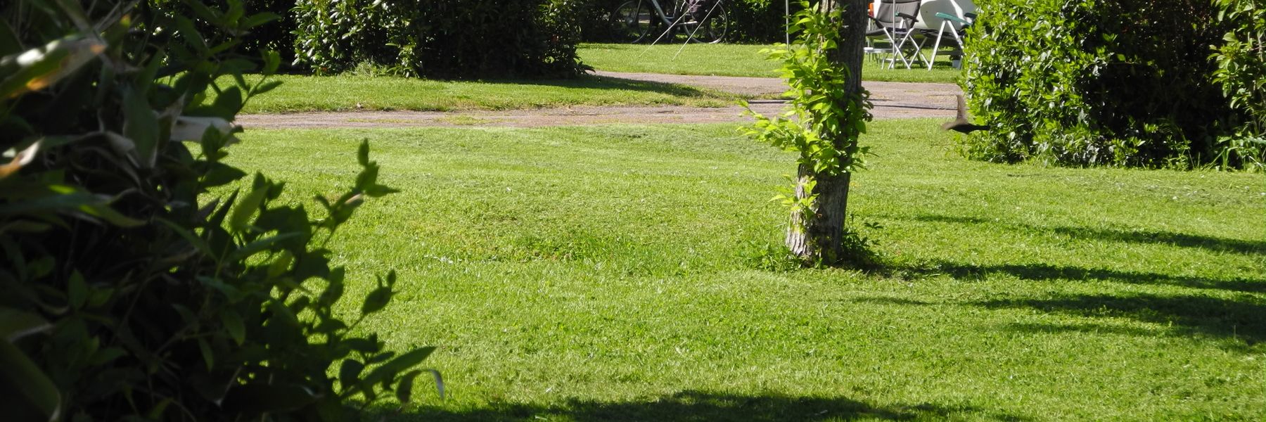 Campsite L'Arbre Sec