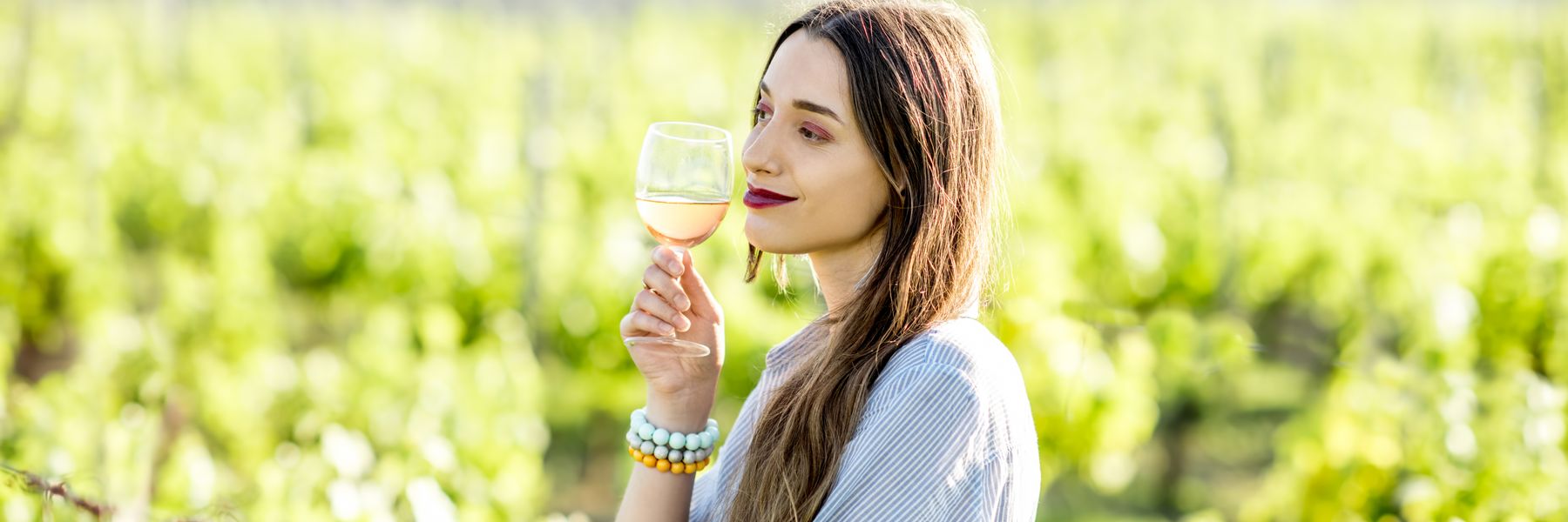 Discover the vineyards